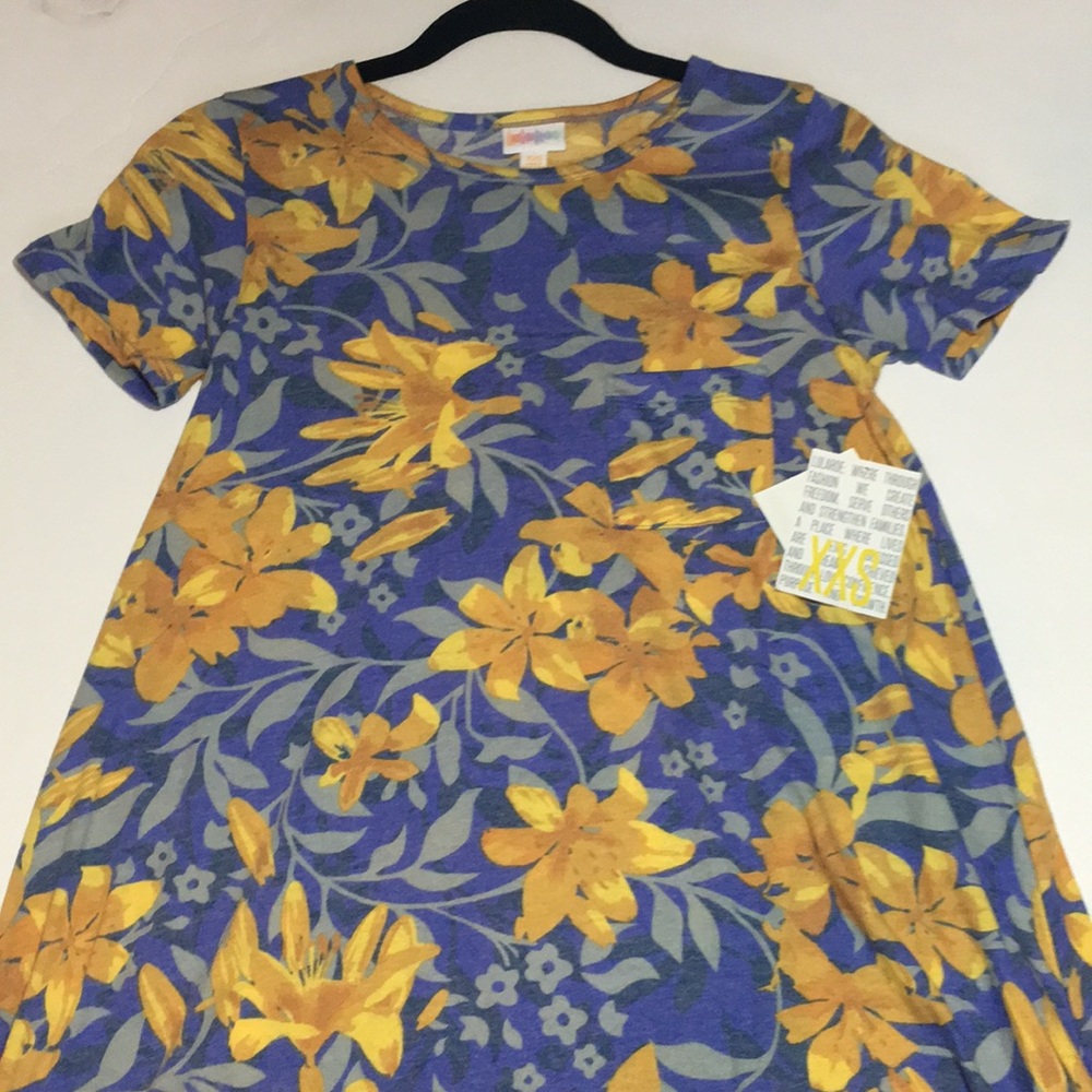 XXS Lularoe Carly